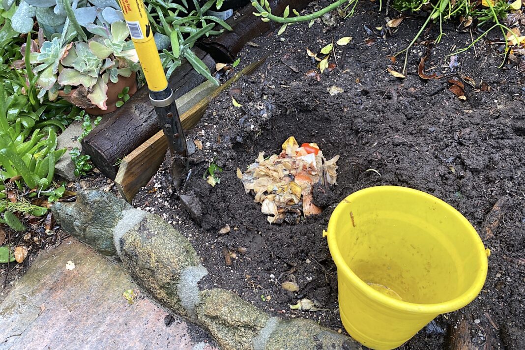 How to Compost at Home Even Without a Yard (1)