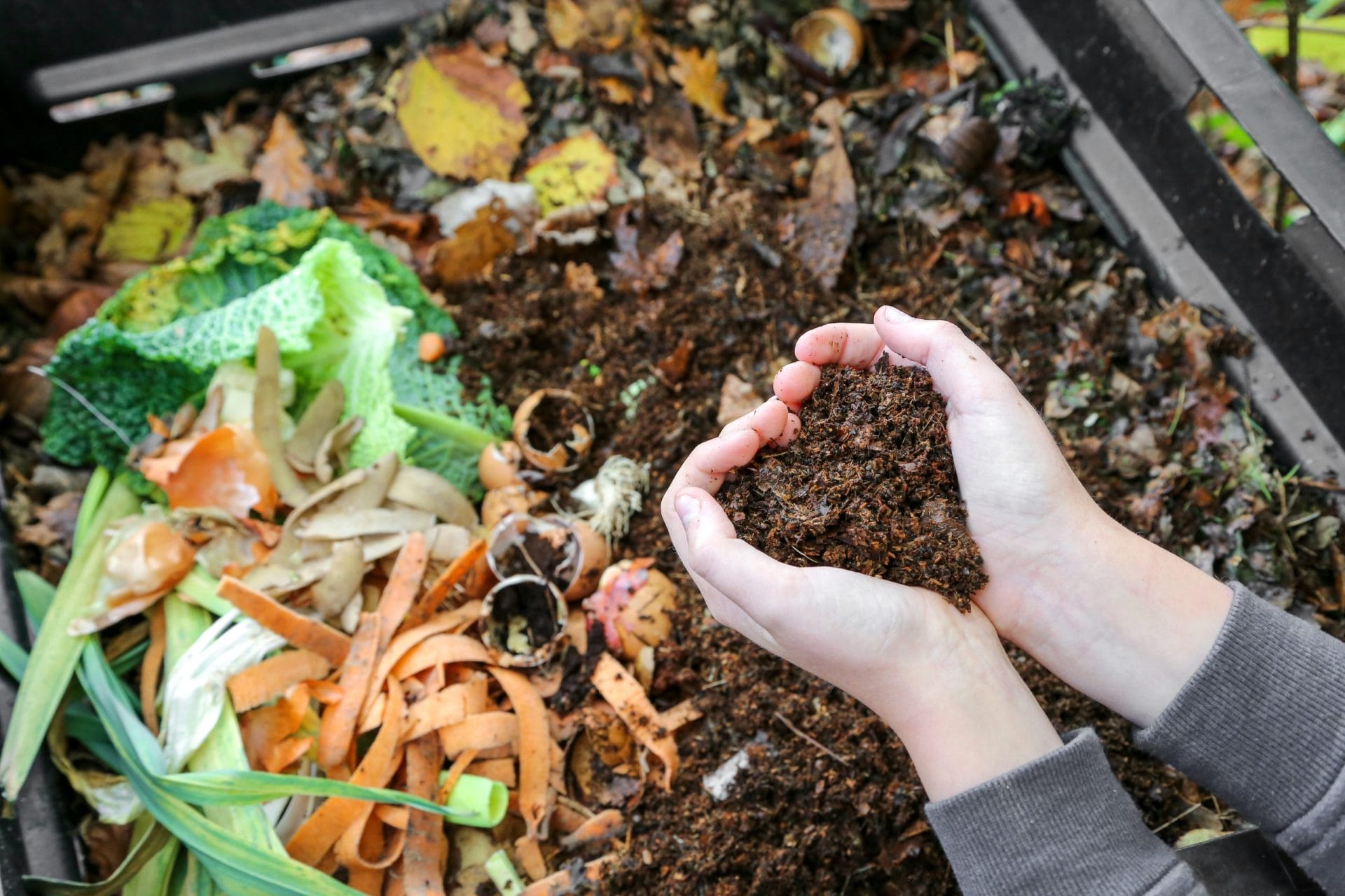 How to Compost at Home Even Without a Yard (1)
