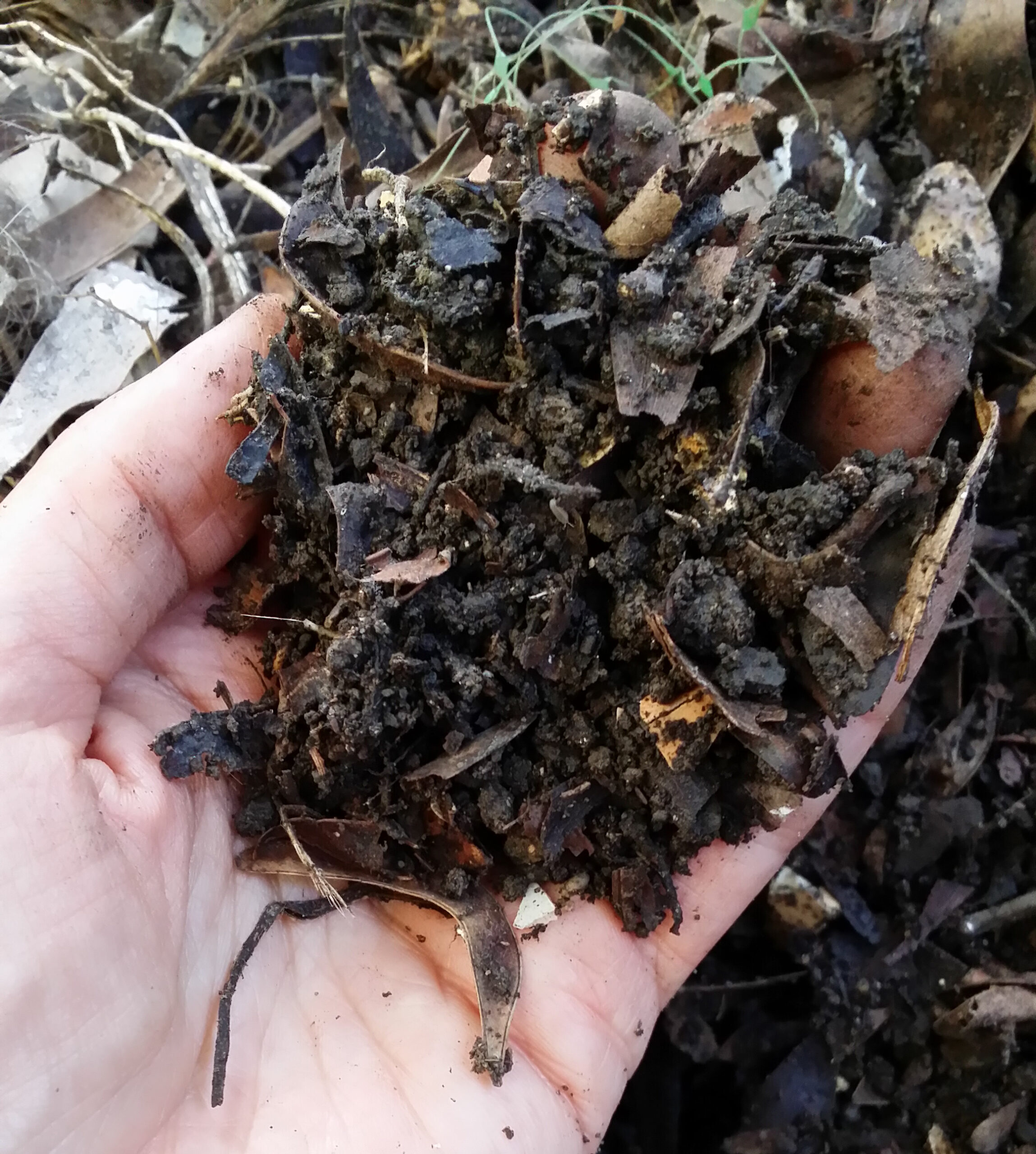 How to Compost at Home Even Without a Yard (3)